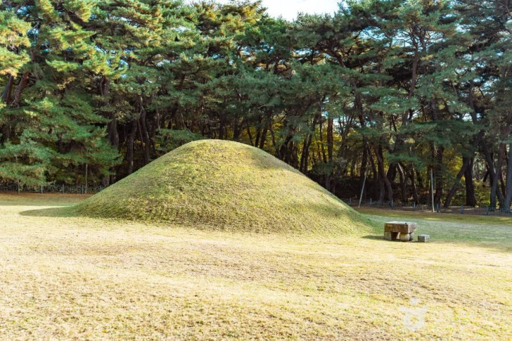 경주 경애왕릉 여행 추천 - 메고지고