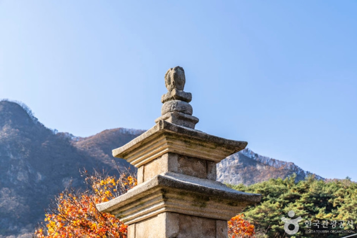 단양 향산리 삼층석탑 여행 추천 - 메고지고
