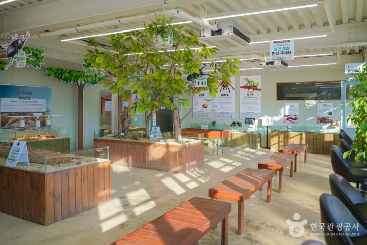 용인 곤충테마파크 여행 추천 - 메고지고
