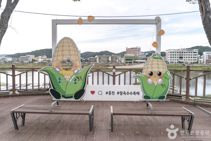 도시산림공원토리숲 여행 추천 - 메고지고