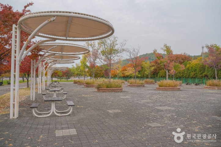 난지한강공원 여행 추천 - 메고지고