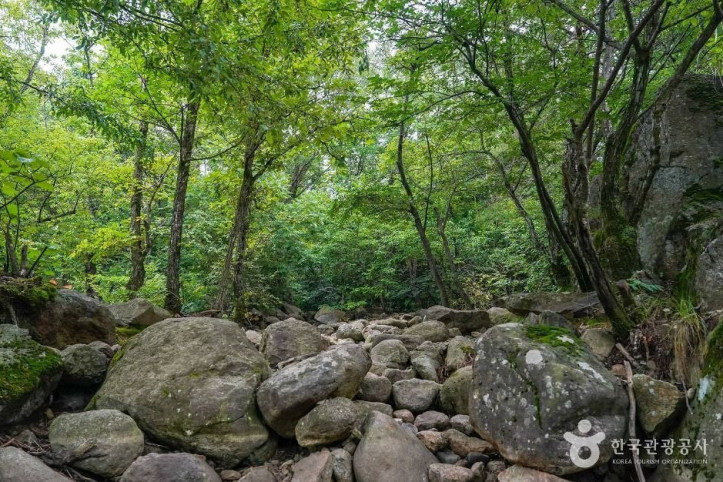 토옥동계곡 여행 추천 - 메고지고