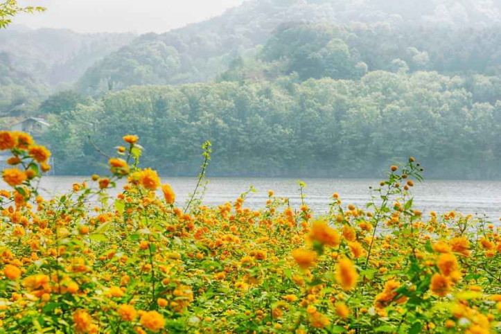 남이섬 여행 추천 - 메고지고