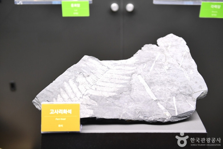 전라남도교육청 자연탐구원 여행 추천 - 메고지고