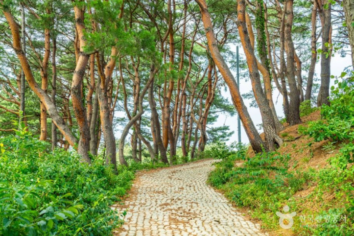 거진등대해맞이공원 여행 추천 - 메고지고