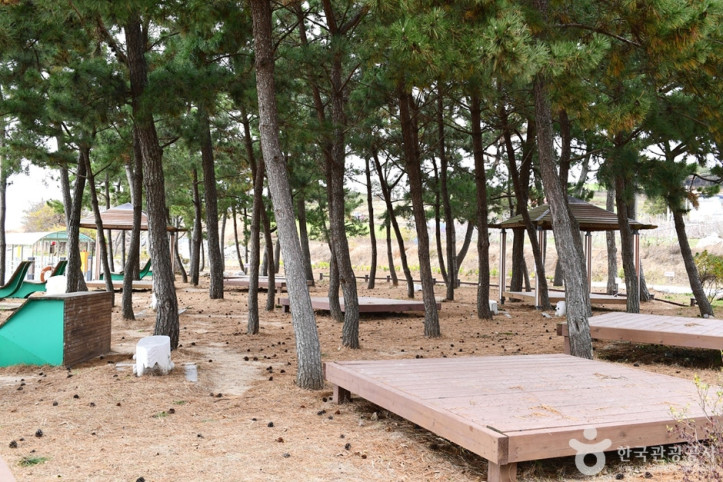 안악해수욕장 여행 추천 - 메고지고