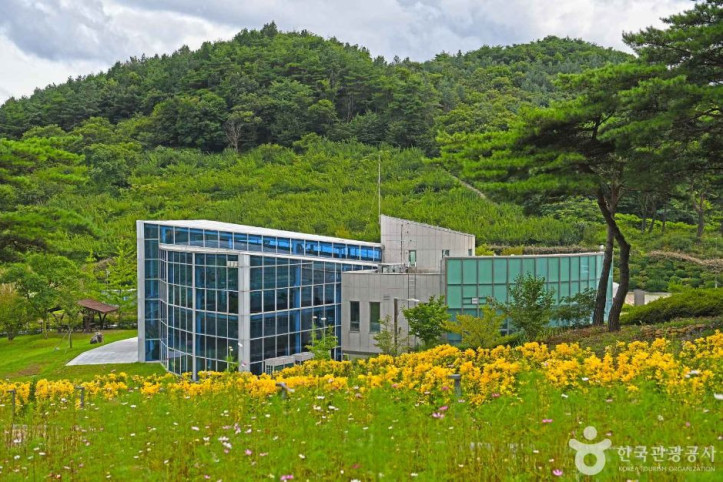 야생화테마랜드 여행 추천 - 메고지고