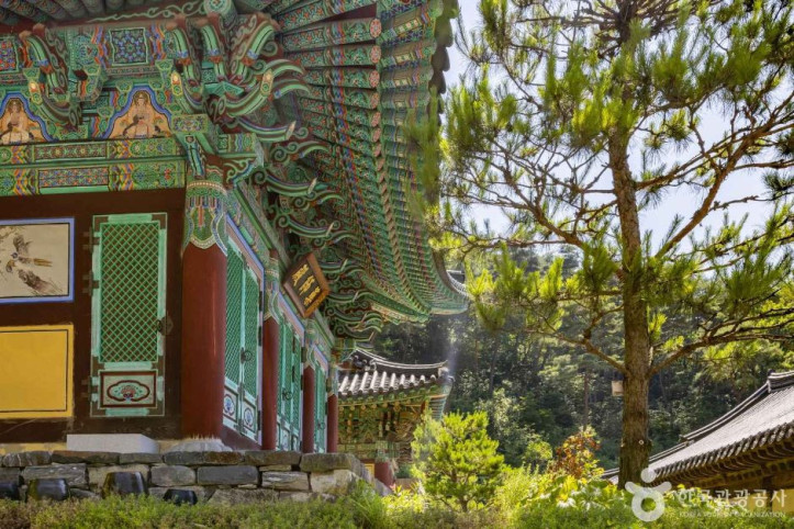 월리사(청주) 여행 추천 - 메고지고