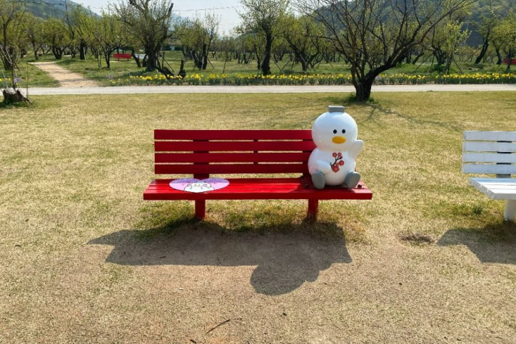 용당나루 매화공원 여행 추천 - 메고지고