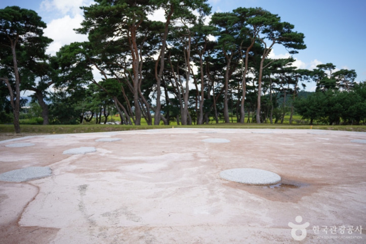 경주 나정 여행 추천 - 메고지고