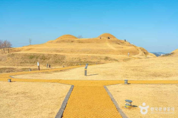 함안 연꽃테마파크 여행 추천 - 메고지고