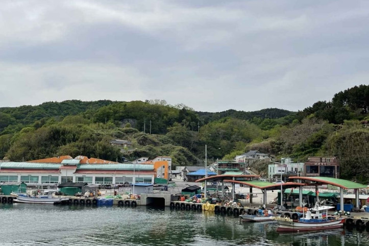 신남항 여행 추천 - 메고지고
