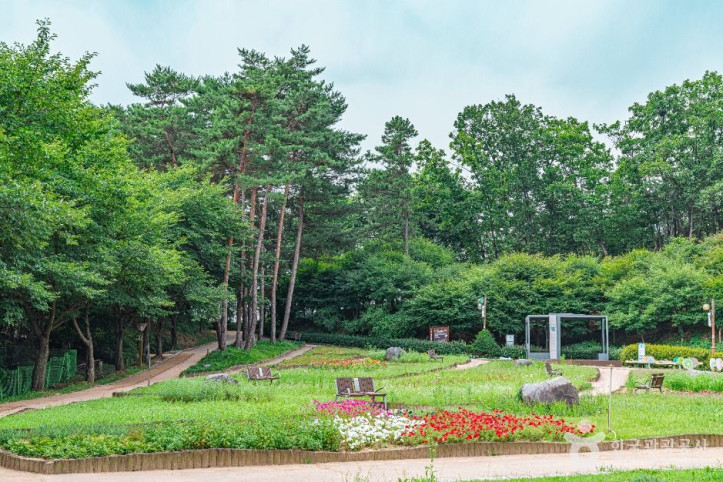 직동근린공원 여행 추천 - 메고지고
