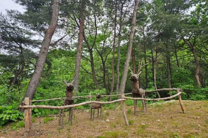 천보산 자연휴양림 여행 추천 - 메고지고
