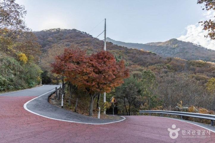 다도해해상국립공원(고흥) 여행 추천 - 메고지고
