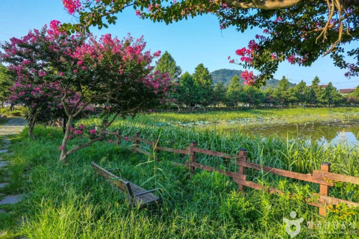 전평제 여행 추천 - 메고지고