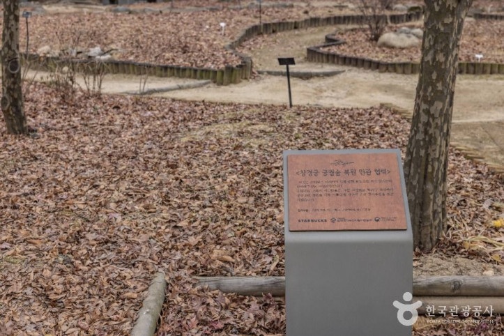 창경궁 대온실 여행 추천 - 메고지고