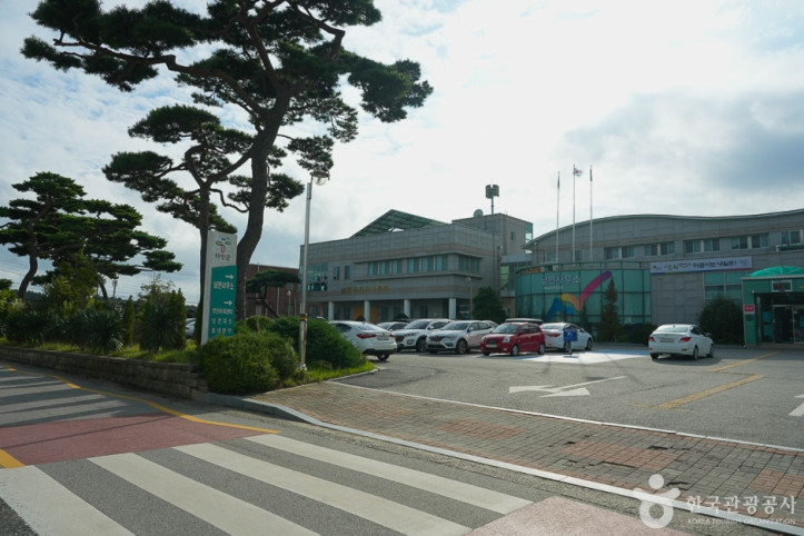 남면 벚꽃길 여행 추천 - 메고지고