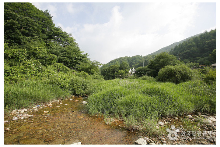 용추자연휴양림 여행 추천 - 메고지고