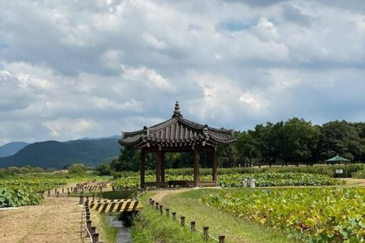 경주 서출지 여행 추천 - 메고지고