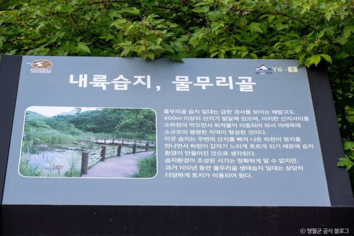 물무리골생태습지 여행 추천 - 메고지고