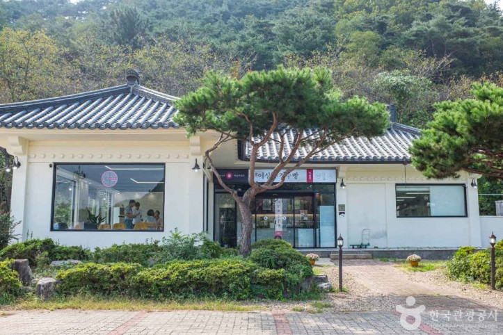 이상복명과 경주빵 숲머리점 여행 추천 - 메고지고
