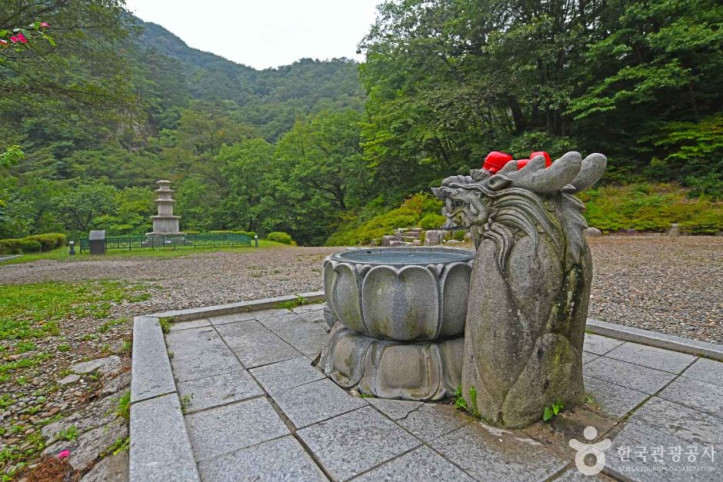 성국사 여행 추천 - 메고지고
