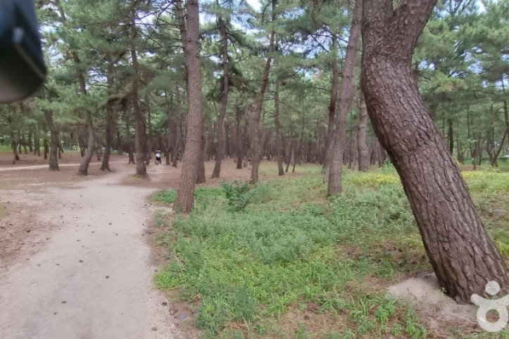 송정해변 여행 추천 - 메고지고