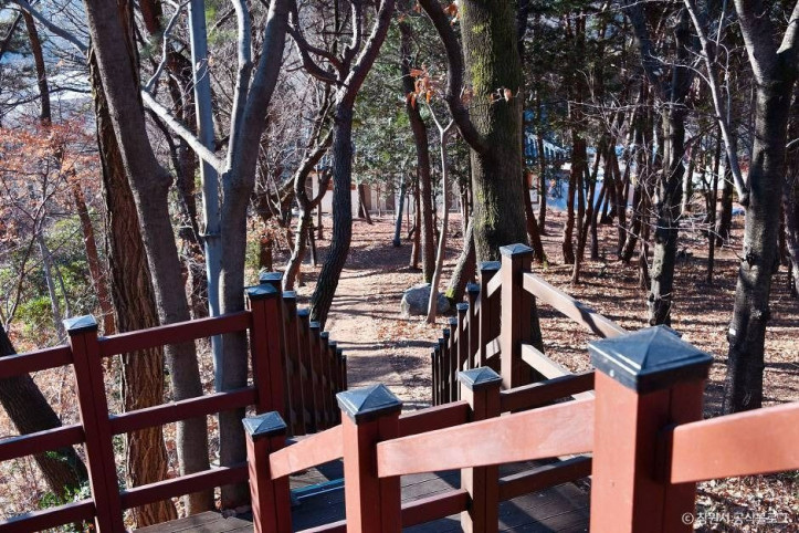창원 편백 치유의 숲 여행 추천 - 메고지고