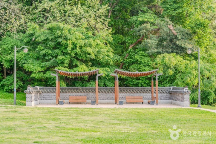 노송지대 여행 추천 - 메고지고