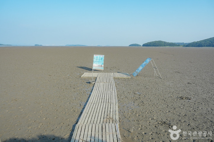 강화도 자연체험농장 여행 추천 - 메고지고
