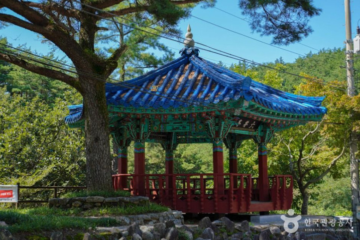 육모정 여행 추천 - 메고지고