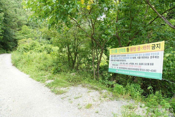 상정바위산 여행 추천 - 메고지고