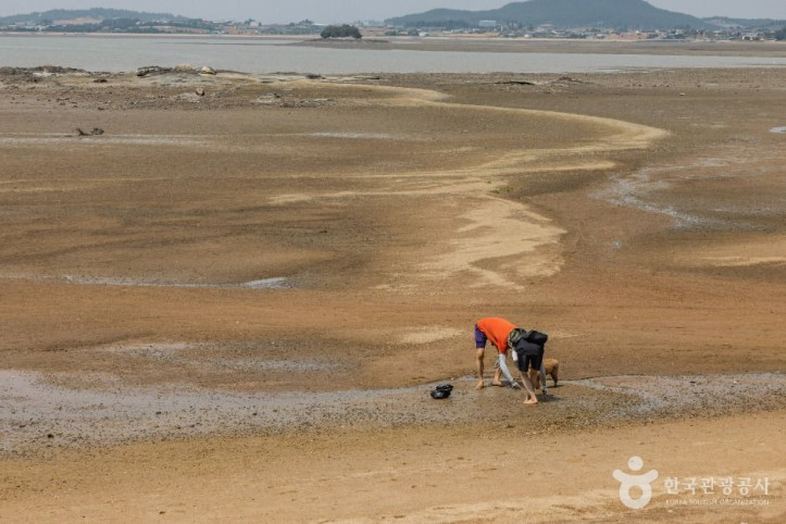 홀통유원지·홀통해변 여행 추천 - 메고지고
