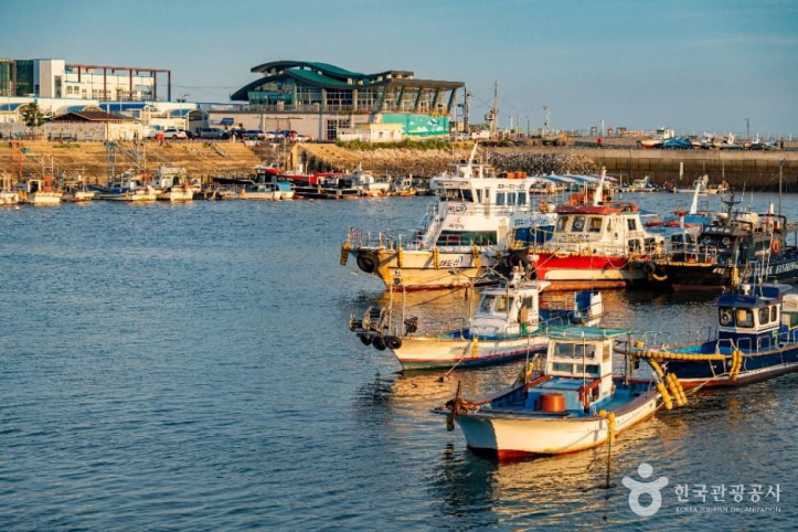 궁평항 여행 추천 - 메고지고
