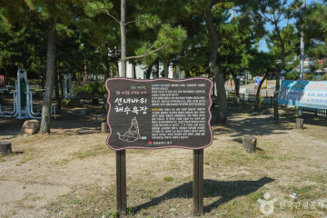 거북바위 여행 추천 - 메고지고