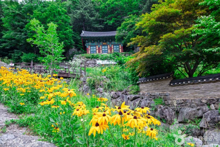 백련사(무주) 여행 추천 - 메고지고