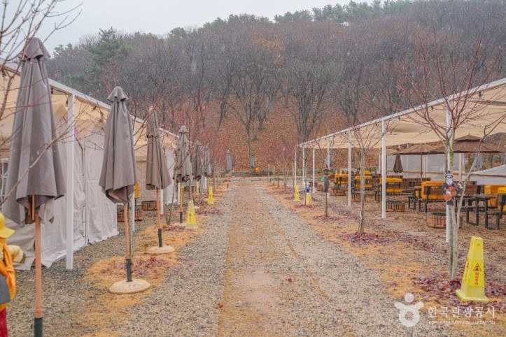 헤이리농원 여행 추천 - 메고지고