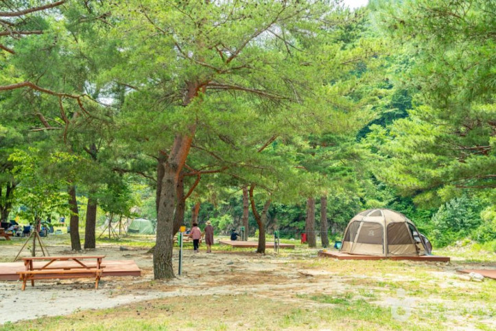 장신유원지 여행 추천 - 메고지고