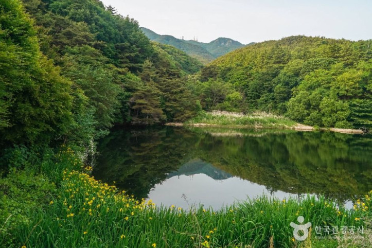 팔공산국립공원(동화사지구) 여행 추천 - 메고지고