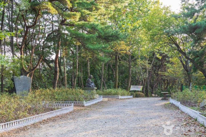 칠갑산도립공원 여행 추천 - 메고지고