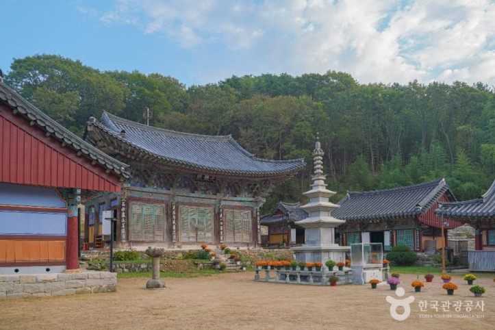 장안사(부산) 여행 추천 - 메고지고