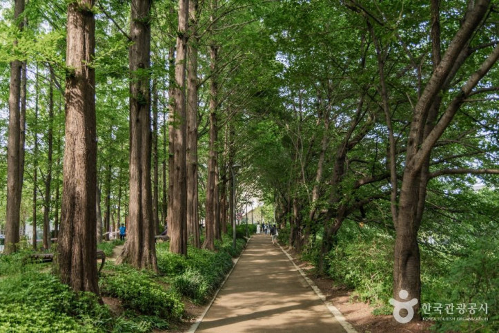 양재천 근린공원 여행 추천 - 메고지고