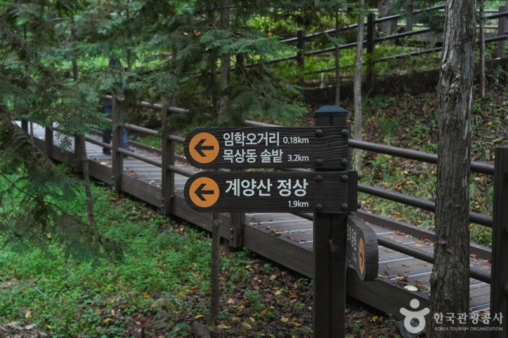 계양산 여행 추천 - 메고지고