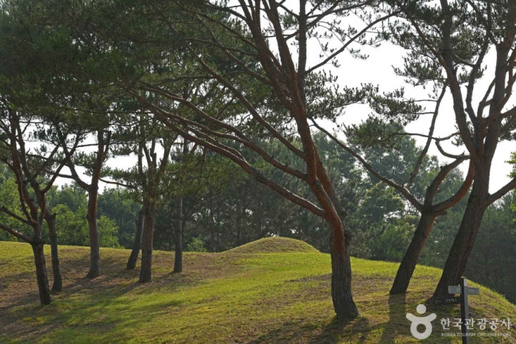 부여 능안골 고분군 여행 추천 - 메고지고