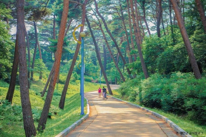 안면도수목원 여행 추천 - 메고지고