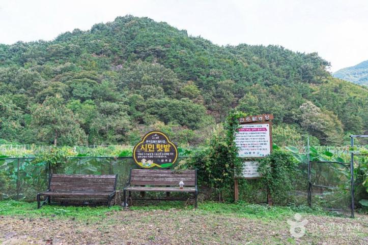 두억행복드림마을 여행 추천 - 메고지고