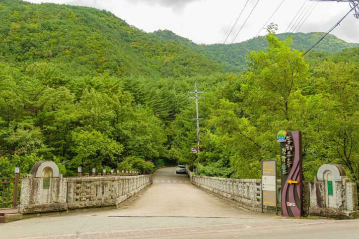 동해무릉건강숲 여행 추천 - 메고지고