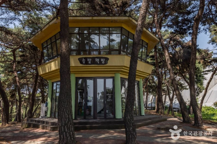 솔밭공원 여행 추천 - 메고지고