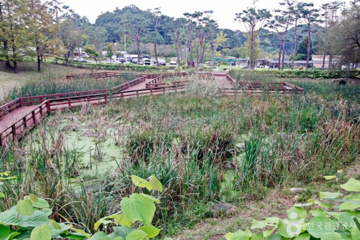 세천공원 여행 추천 - 메고지고